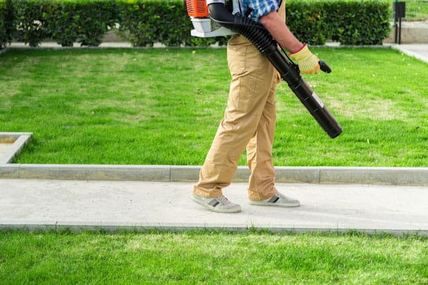 leaf blower tool