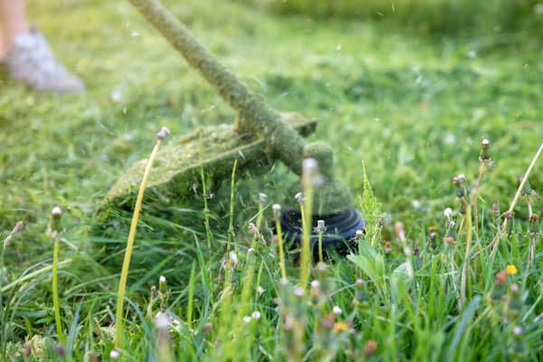 strimmer tool